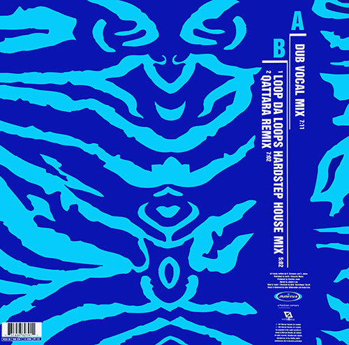 The Space Brothers : Forgiven (I Feel Your Love) (Mixes By: Loop Da Loop • Qattara) (12", Single)