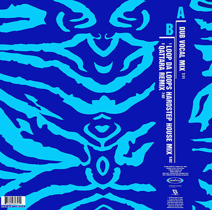 The Space Brothers : Forgiven (I Feel Your Love) (Mixes By: Loop Da Loop • Qattara) (12", Single)