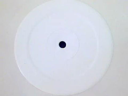 Mauro Picotto : The Test (12", Whi)