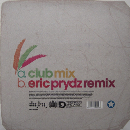 Switch (2) : A Bit Patchy (12", Single)