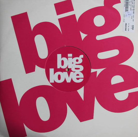 DJ Pierre Ft.  Sylfronia King : Destroy This Track (12")