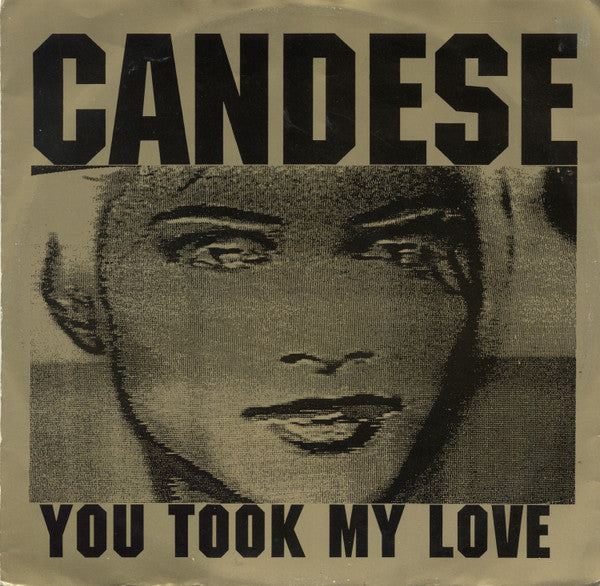 Candese : You Took My Love (12")