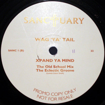 Wag 'Ya' Tail* : Xpand Ya Mind (12", Promo)